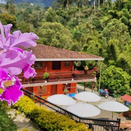 Hotel Orillas Del Pizano Jardin Exterior photo