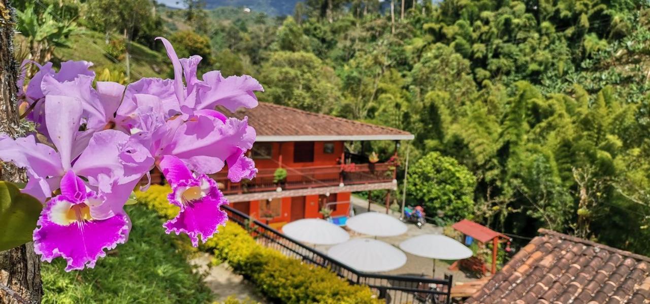 Hotel Orillas Del Pizano Jardin Exterior photo